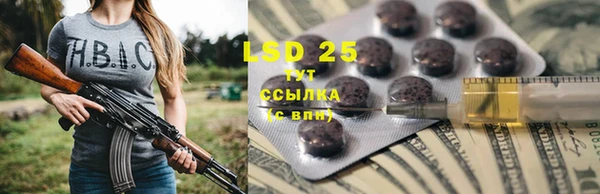 ГАЛЛЮЦИНОГЕННЫЕ ГРИБЫ Балахна