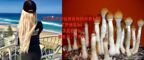 бошки Балабаново