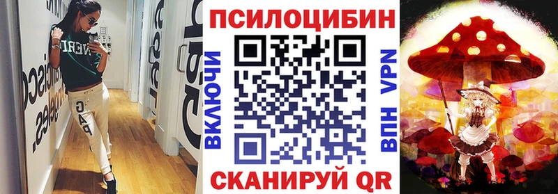 kraken сайт  Красный Холм  сайты даркнета телеграм  Галлюциногенные грибы прущие грибы 